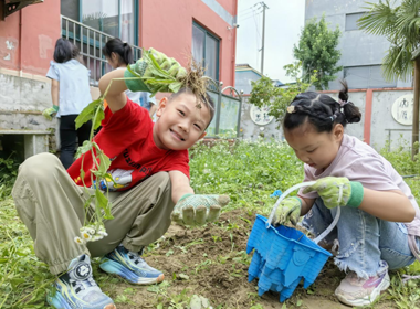 小手除草，劳动育心